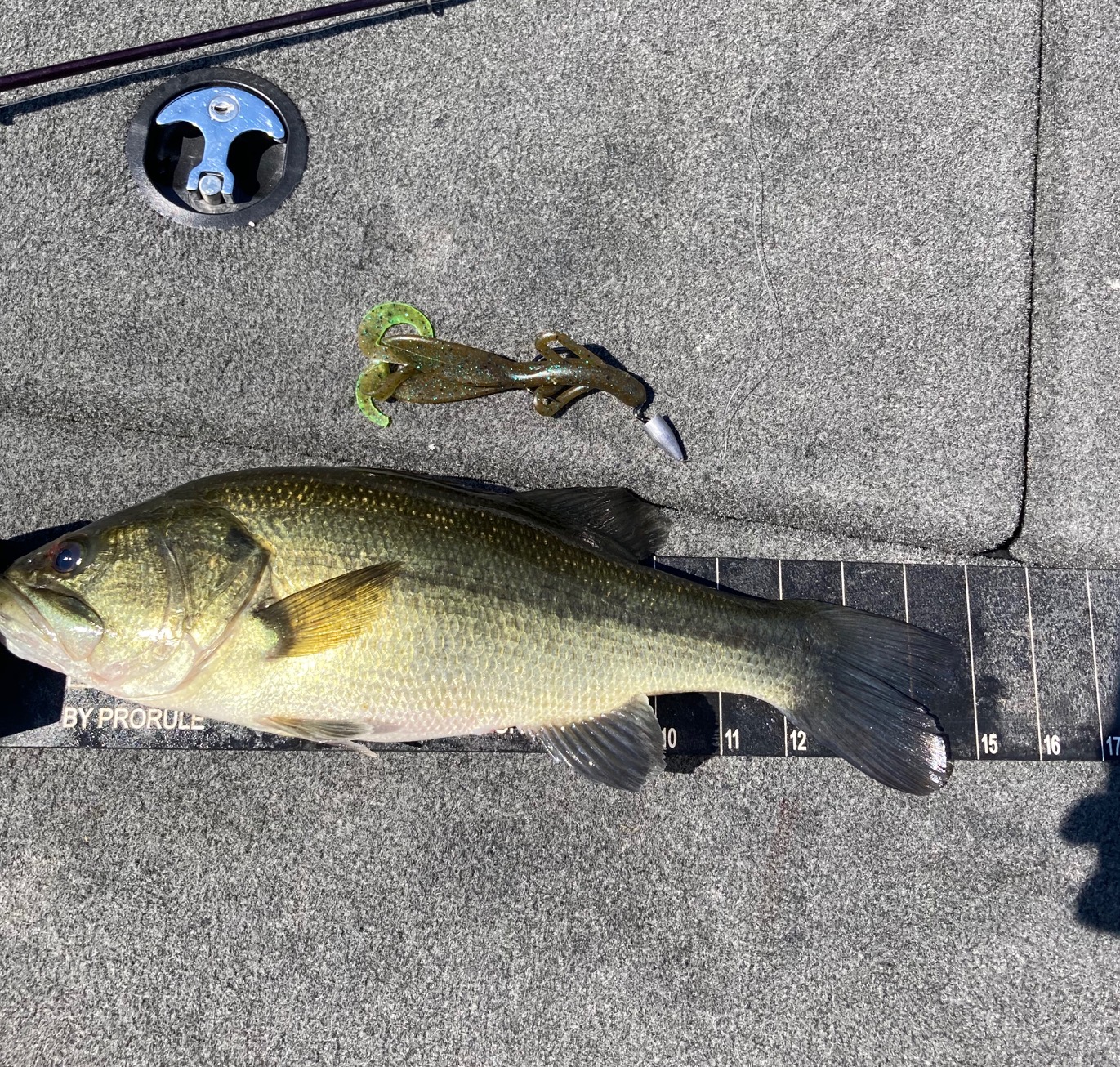 Bass Fishing Tournament On Kinkaid Lake July 11, 2020 – Wade And Jaime 